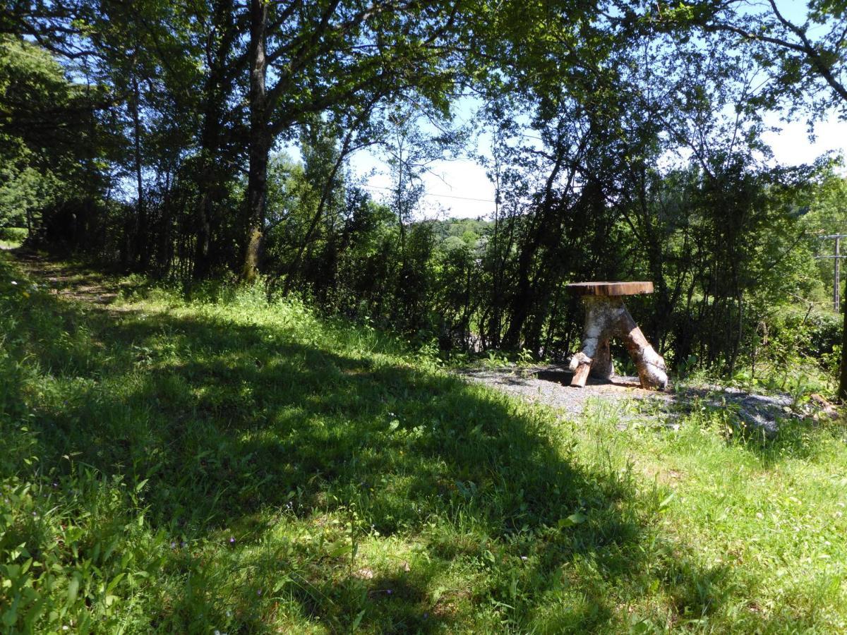 Holiday home La Petite Bardouillere