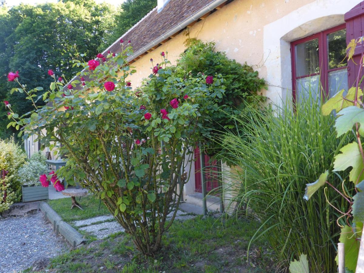 La Petite Bardouillere Holiday home Courdemanche (Sarthe)