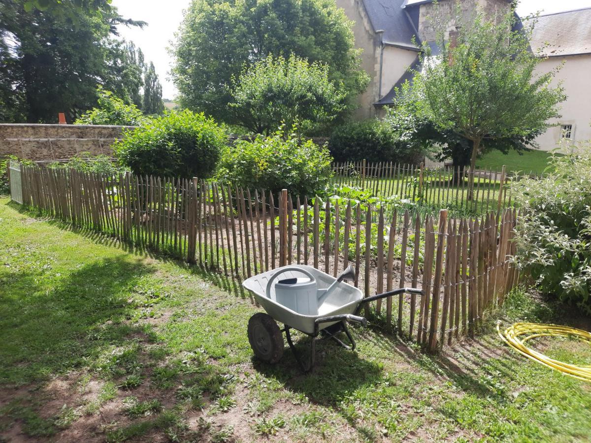 La Petite Bardouillere Holiday home Courdemanche (Sarthe)